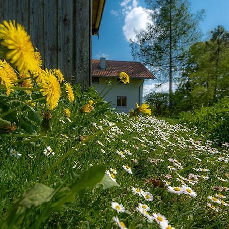 Ferienhaus Schlierachtal Місбах Екстер'єр фото